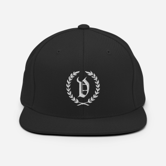 Vitrioli Logo Snap-Back Hat